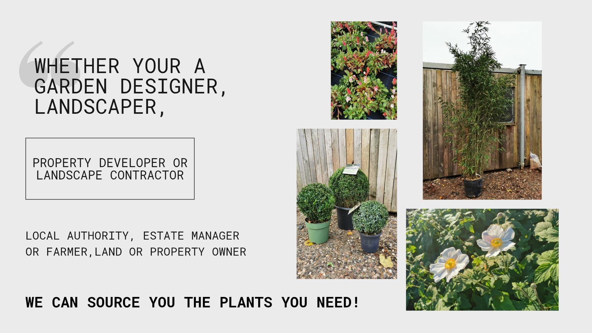 Promotional image for plant sourcing services featuring assorted plants like potted shrubs, a tall bamboo, flowering plants, and text about sourcing plants for garden designers, landscapers, and other professionals.