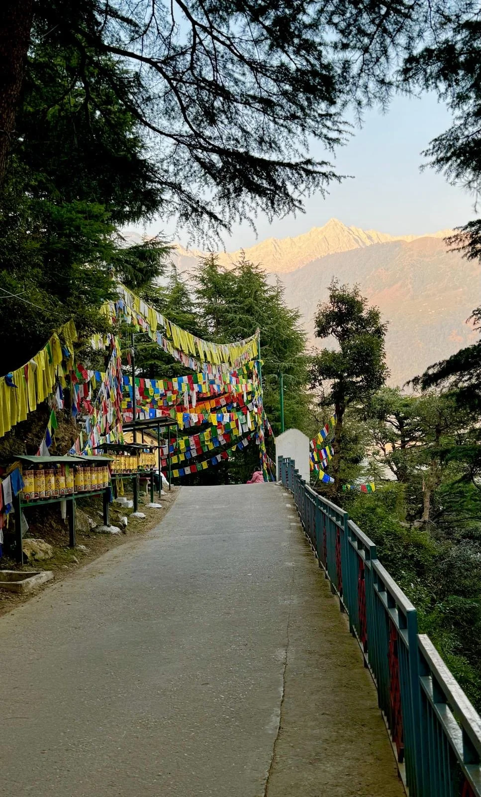 Dharamsala WISDOM RETREAT : 13 - 20 April 2026