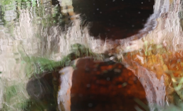 Picture4.png