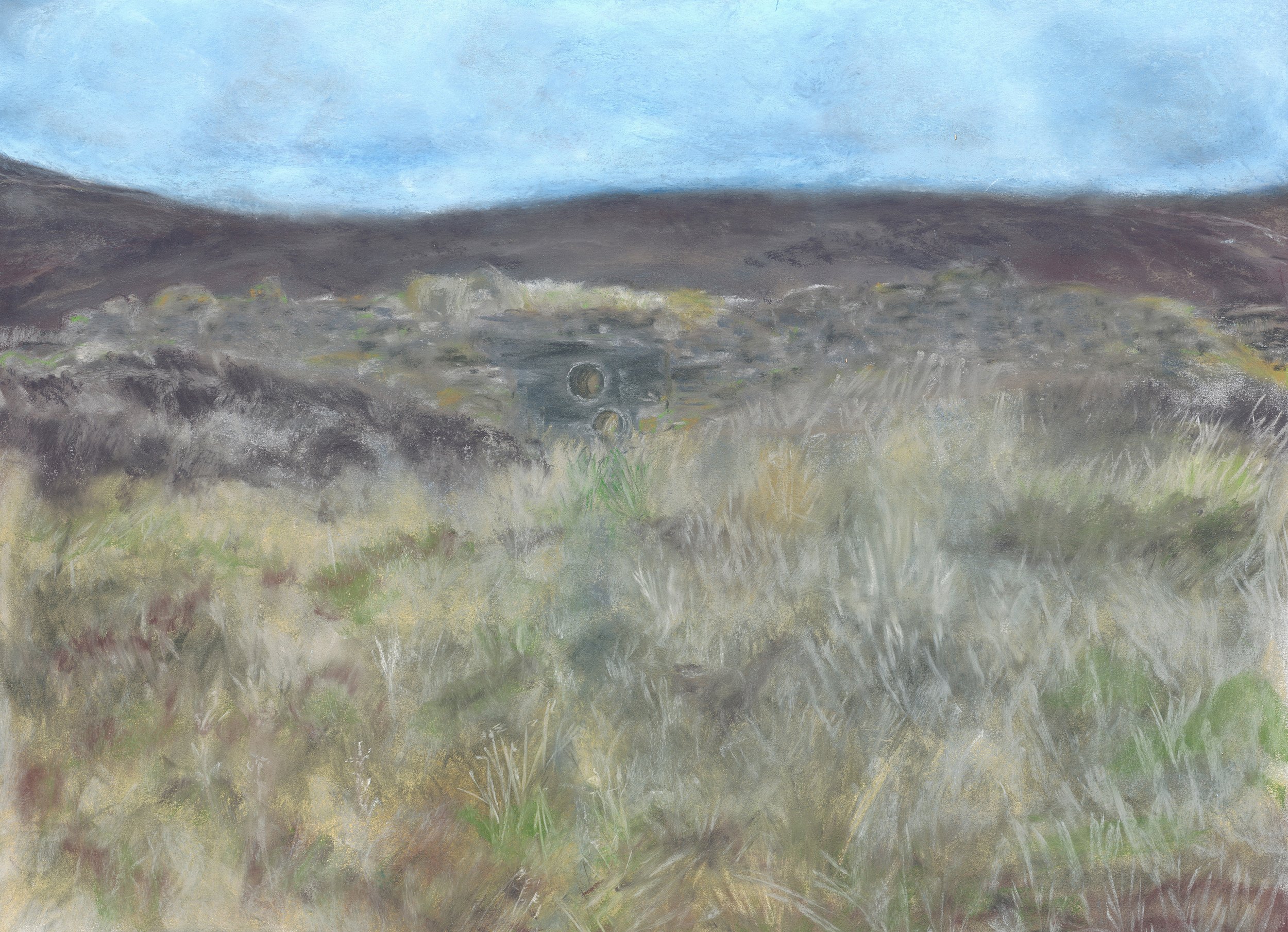 cropped LIffey Head.jpg