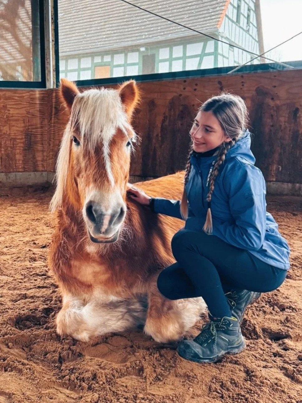Winterzeit ist Kuschelzeit! Haflingerdame Leona (auch B&ouml;hnchen genannt) mit Charlotte beim Kuscheln im Reitzelt. 
In den Wintermonaten ist es f&uuml;r unsere &auml;lteren Hofbewohner immer etwas m&uuml;hsamer, da die Arthrose in den Knochen sitz