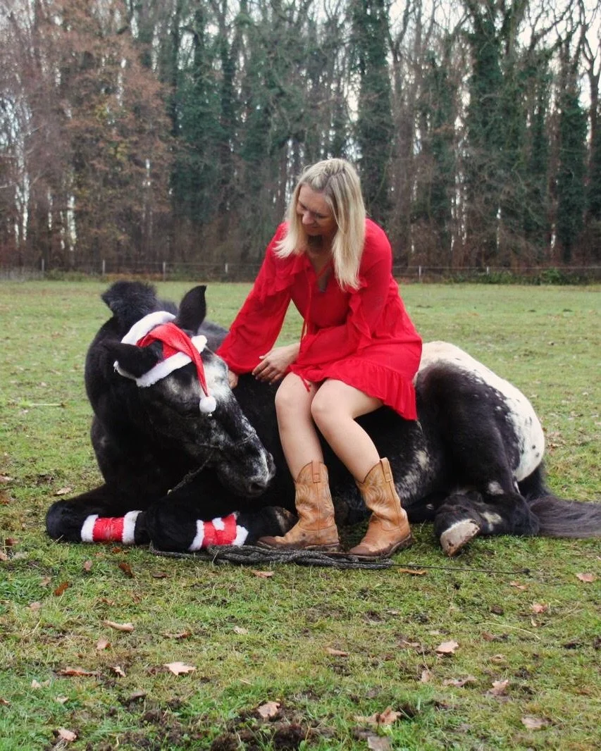 Wir haben unser Spendenziel erreicht!
Crowdfunding-Aktion &ldquo;Hilfe f&uuml;r Harlem&rdquo; hat in nur ‼️ 15 Tagen ‼️ das Ziel von 500&euro; erf&uuml;llt! Danke! Danke von uns, von Sabine und von dem s&uuml;&szlig;em Harli, der trotz seines Handica