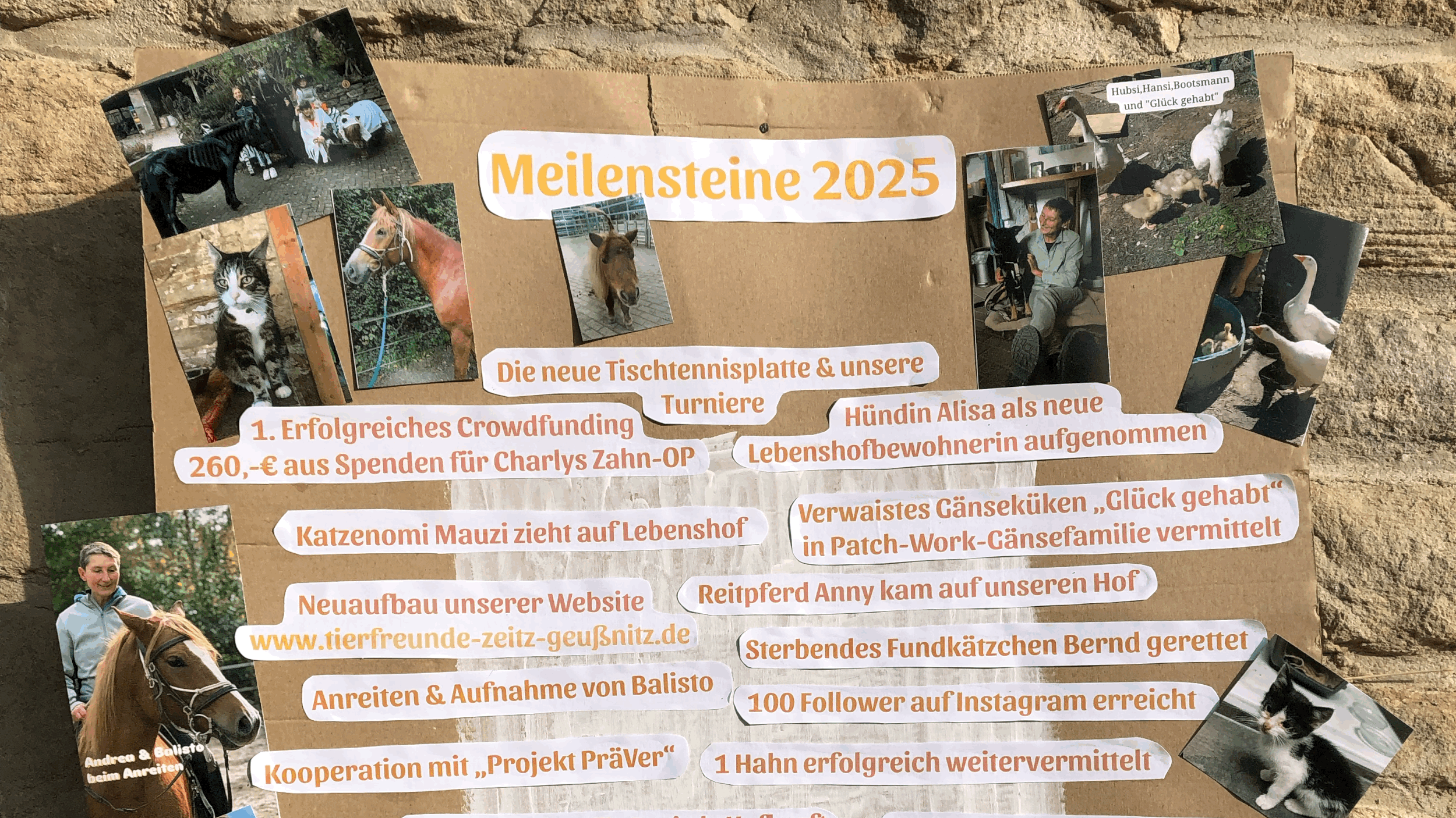Meilensteine 2025 &amp; Zukunftswünsche für 2026