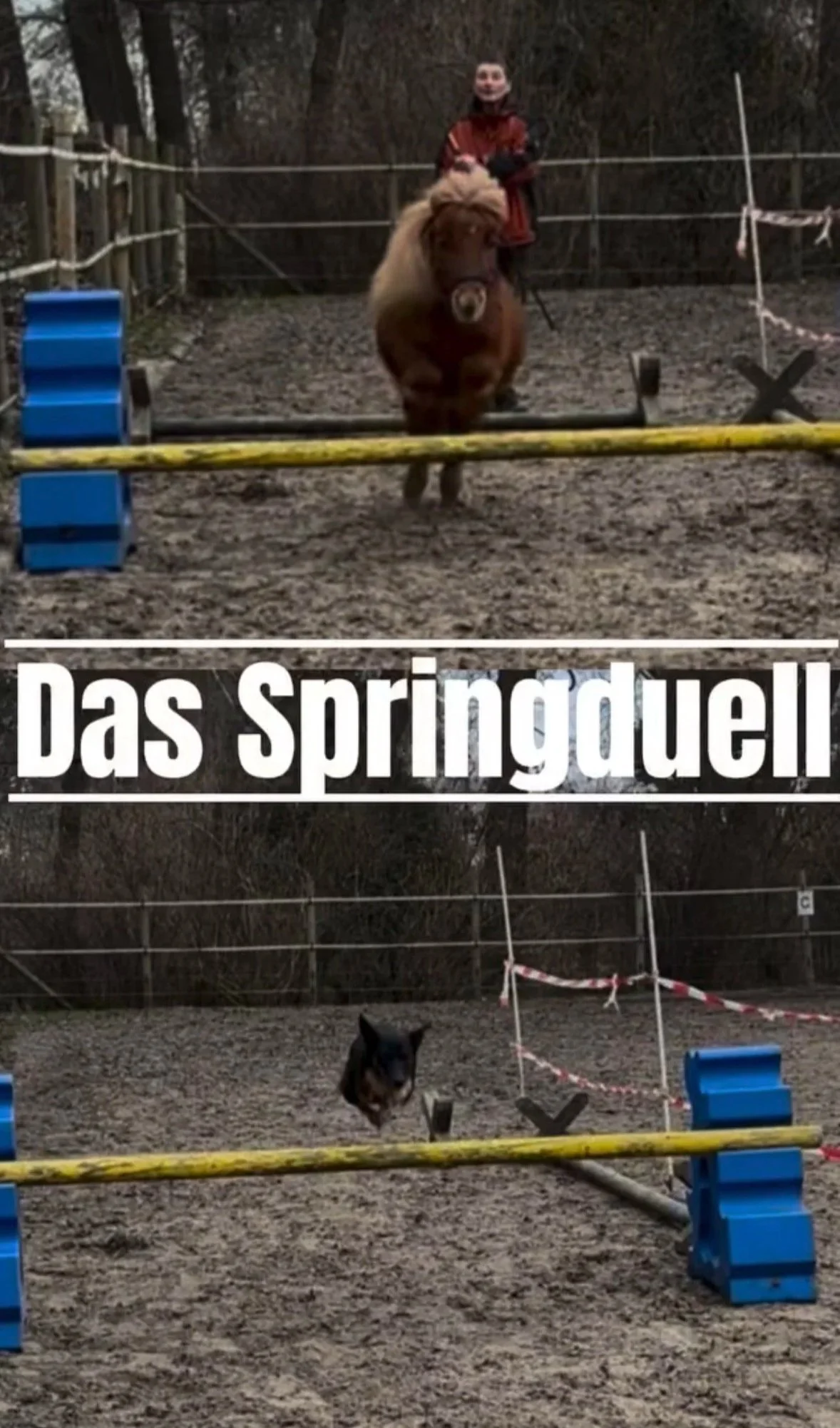 - Das Springduell -