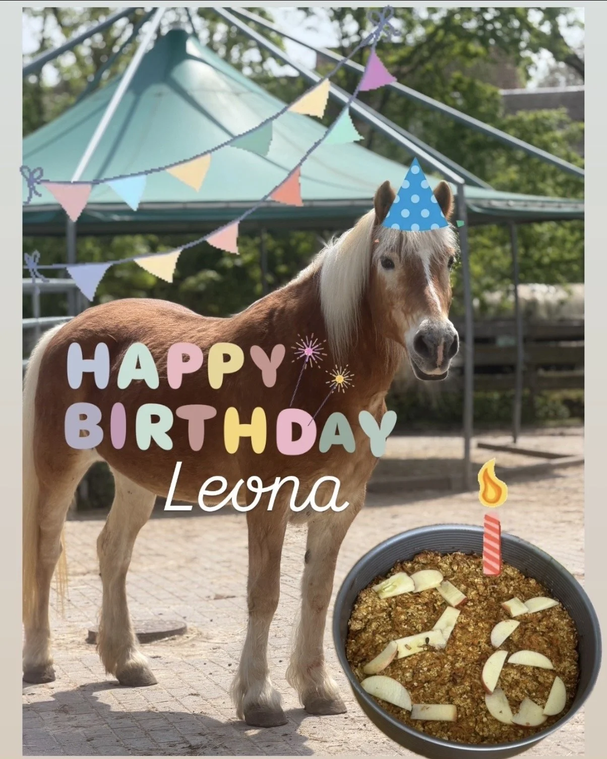 Happy Birthday, Leona
