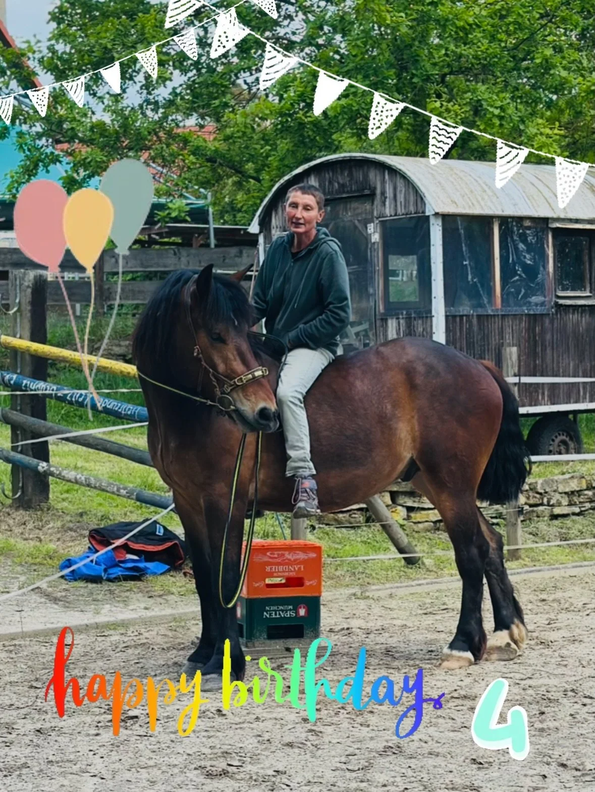Samu Kam zusammen mit einem ungarischen warmblut aut den Hof. Nur, dass zu dieser zeit noch keiner von ihm wusste. Die Aufregung war jedoch gro&szlig;, als es endlich soweit war. jedoch hatte Samu einen nicht ganz leichten start ins Leben, da die Geb
