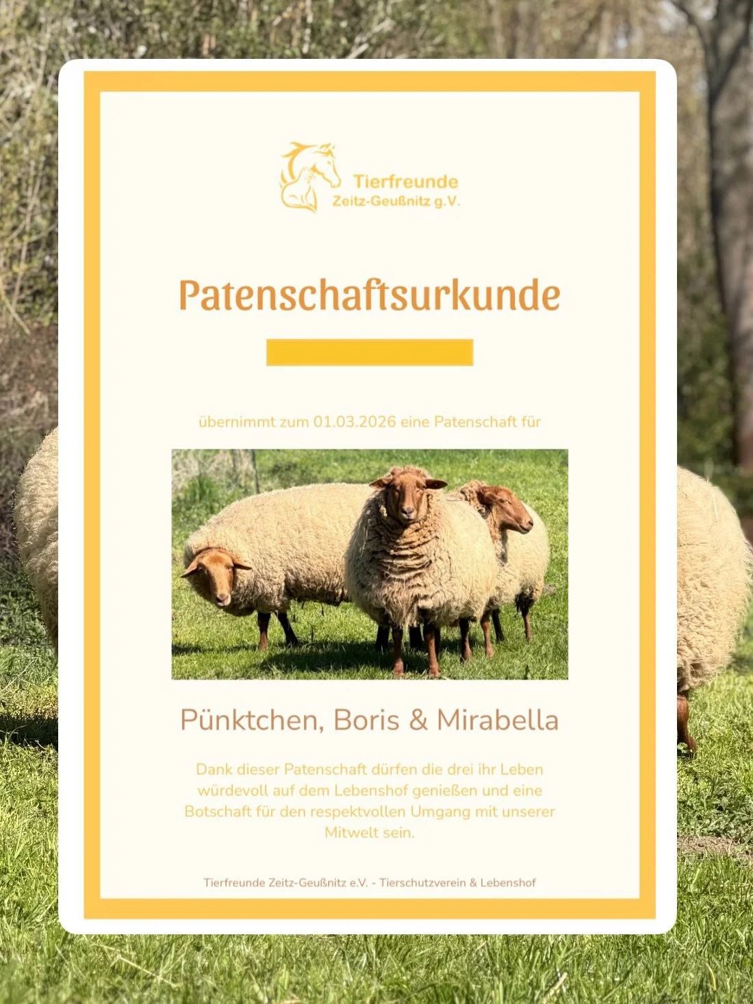 Tierpate f&uuml;r P&uuml;nktchen, Mirabella und Boris gewonnen 🐑🐑🐑🎉
Ein Gnadenhof lebt von Spenden und ehrenamtlicher Arbeit. Eine besondere Form der Hilfe kann dabei die Tierpatenschaft sein, wobei eine Einzelperson einen festgelegten, monatlich