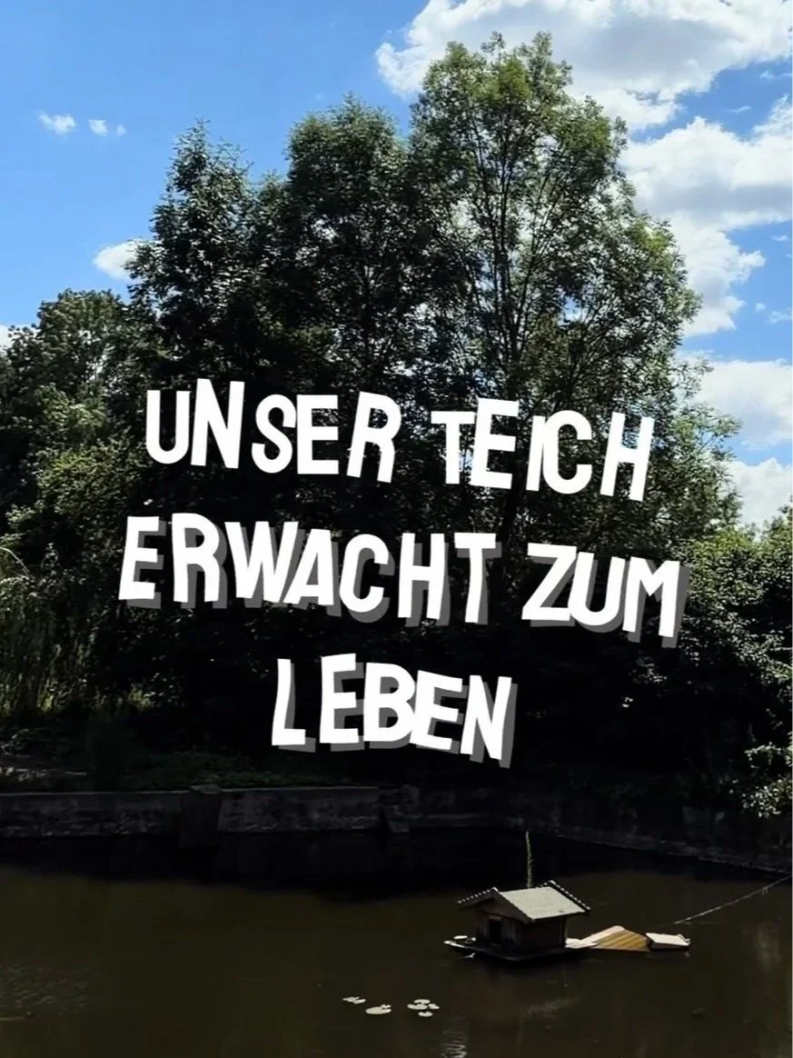 Renaturierung des Löschteichs