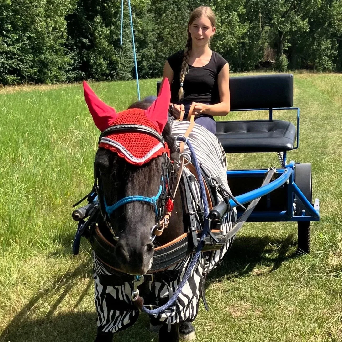 Ein ponny mit Baustellenhelm und Warnschild, der vor einer Baustelle warnt.