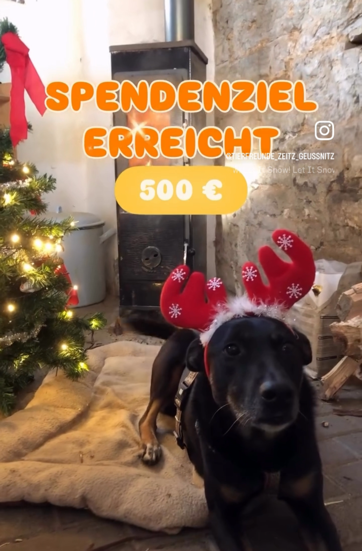 Spendenziel erreicht: 500€ für Harlem