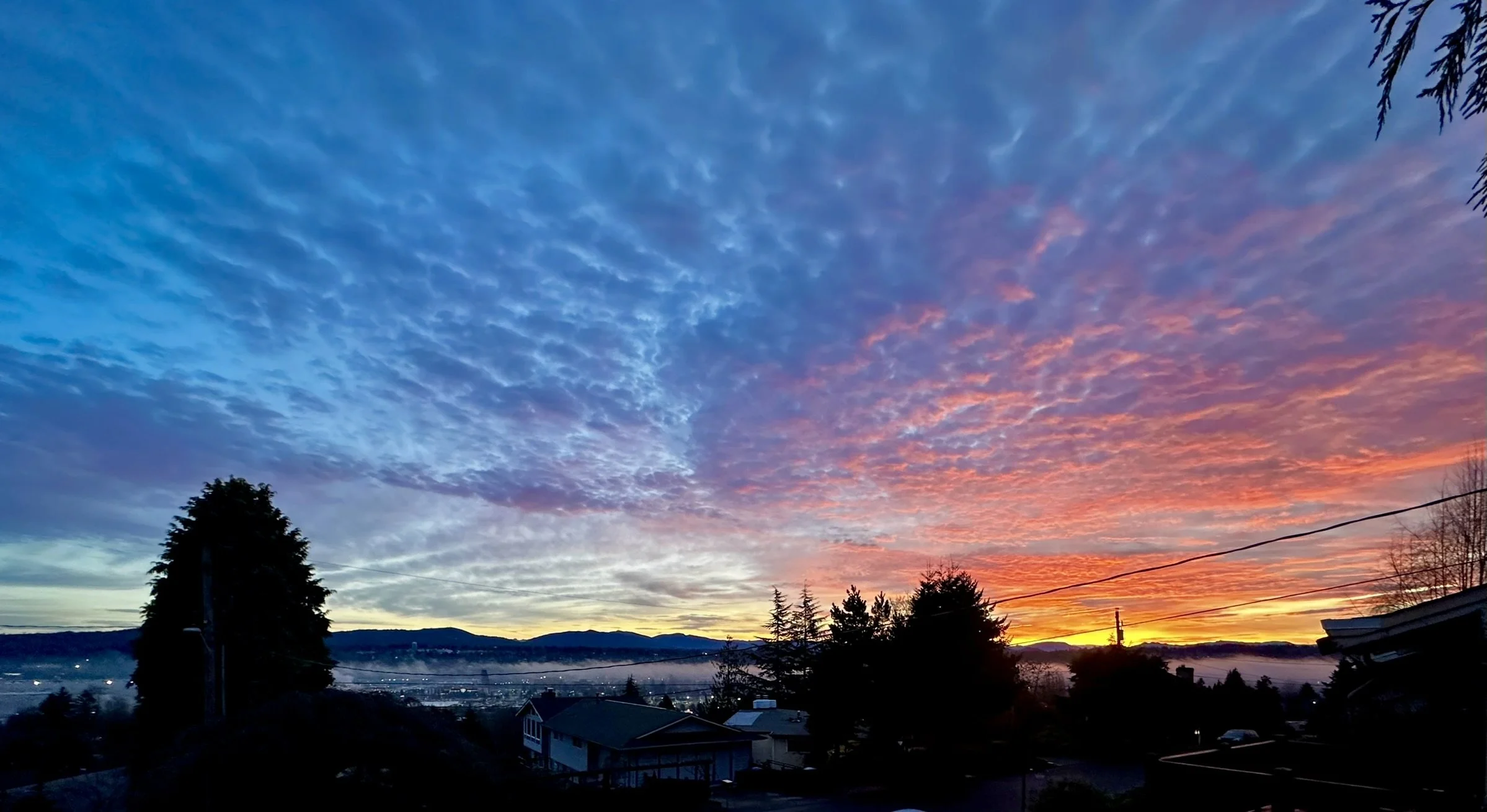 It Begins Here: A Moment of Delight