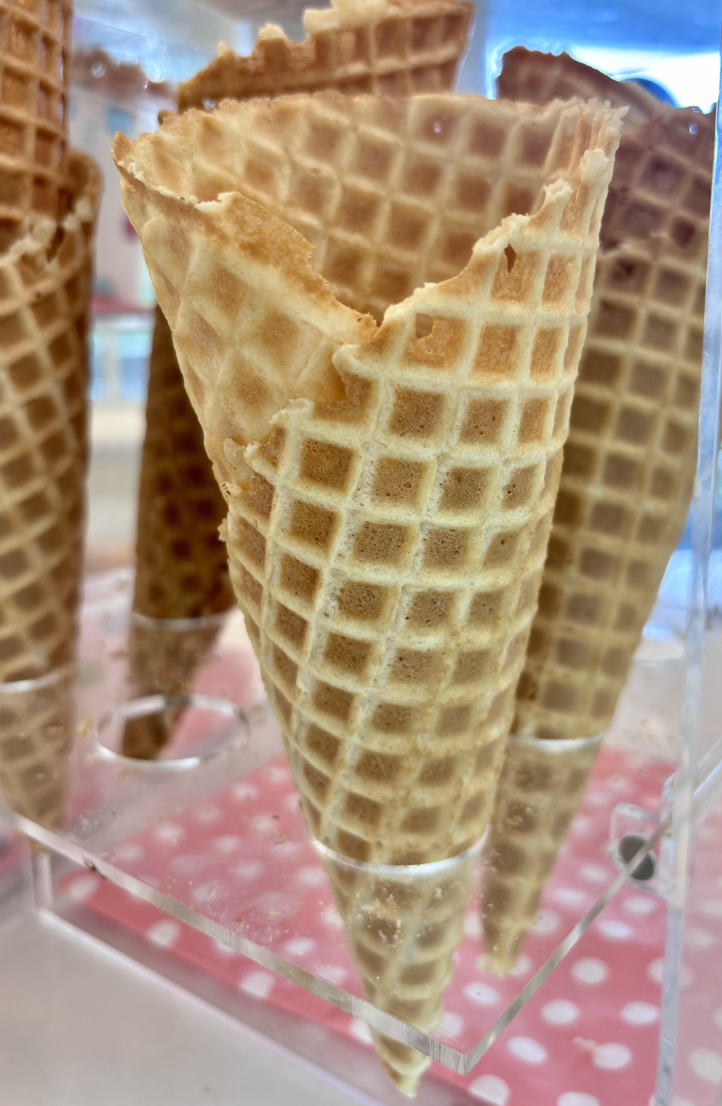 Waffle Your Way