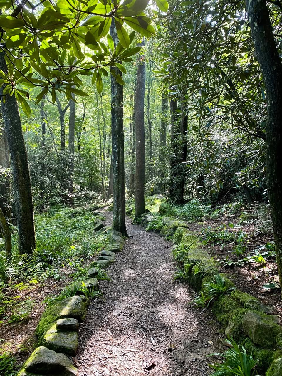 Saturday Morning Hike: Highlands Biological Station