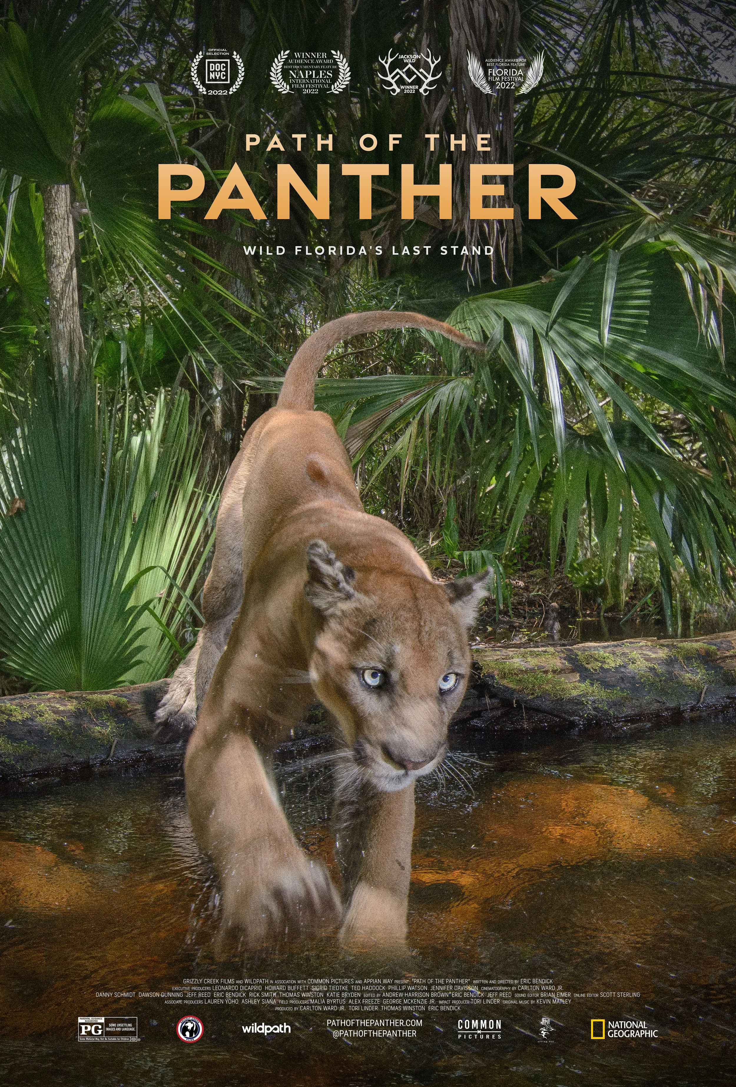 panther_keyart_review_v2 - Eric Bendick.jpeg