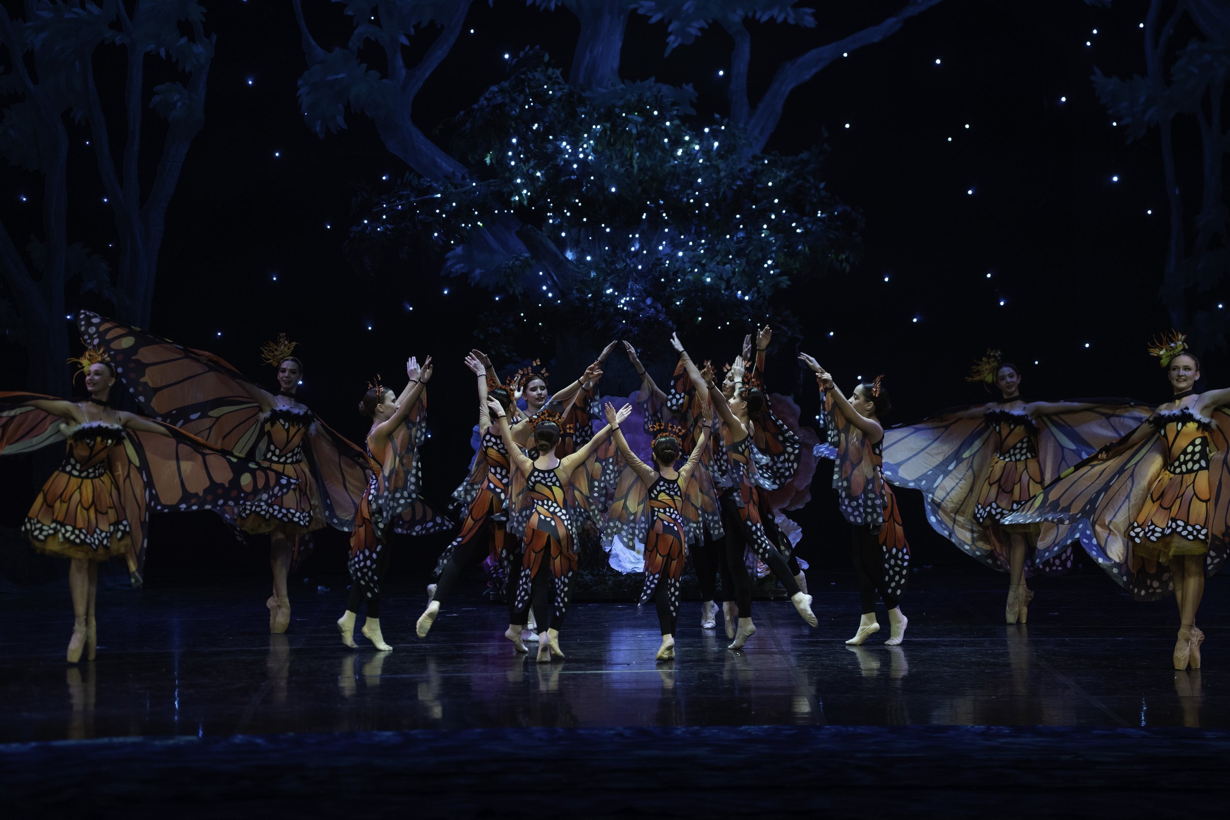 Group of ballet dancers in butterfly costumes performing on stage with a tree backdrop and starry lights.