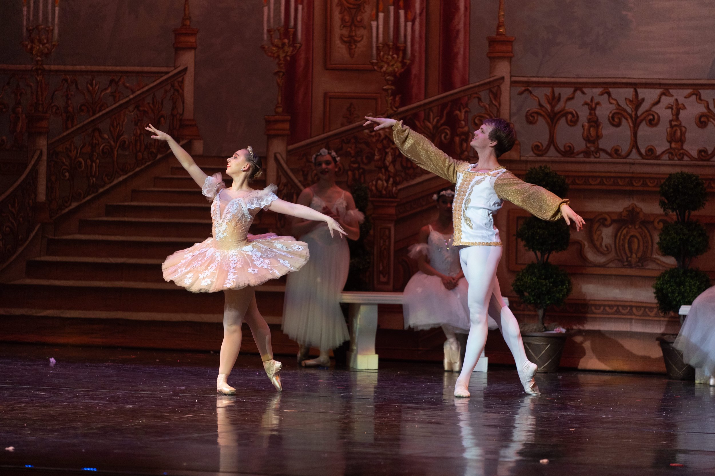 Ballet dancers performing on stage with a ornate, castle-like background and other dancers watching.