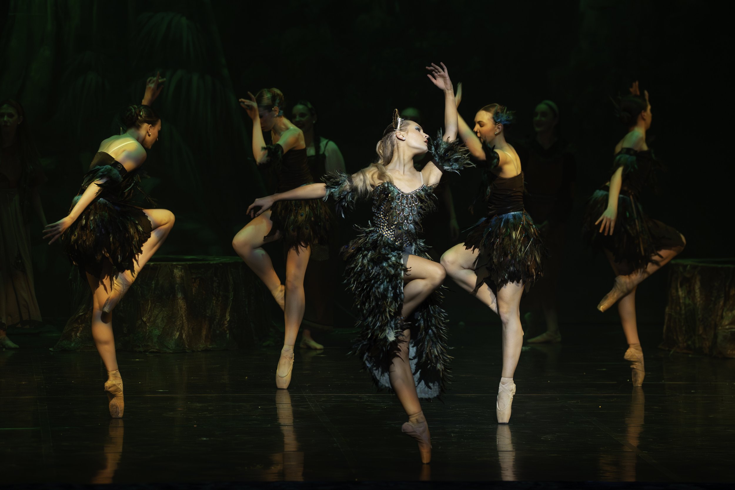 Ballet dancers performing on stage in black feathered costumes, with one dancer in the center striking a pose on pointe.