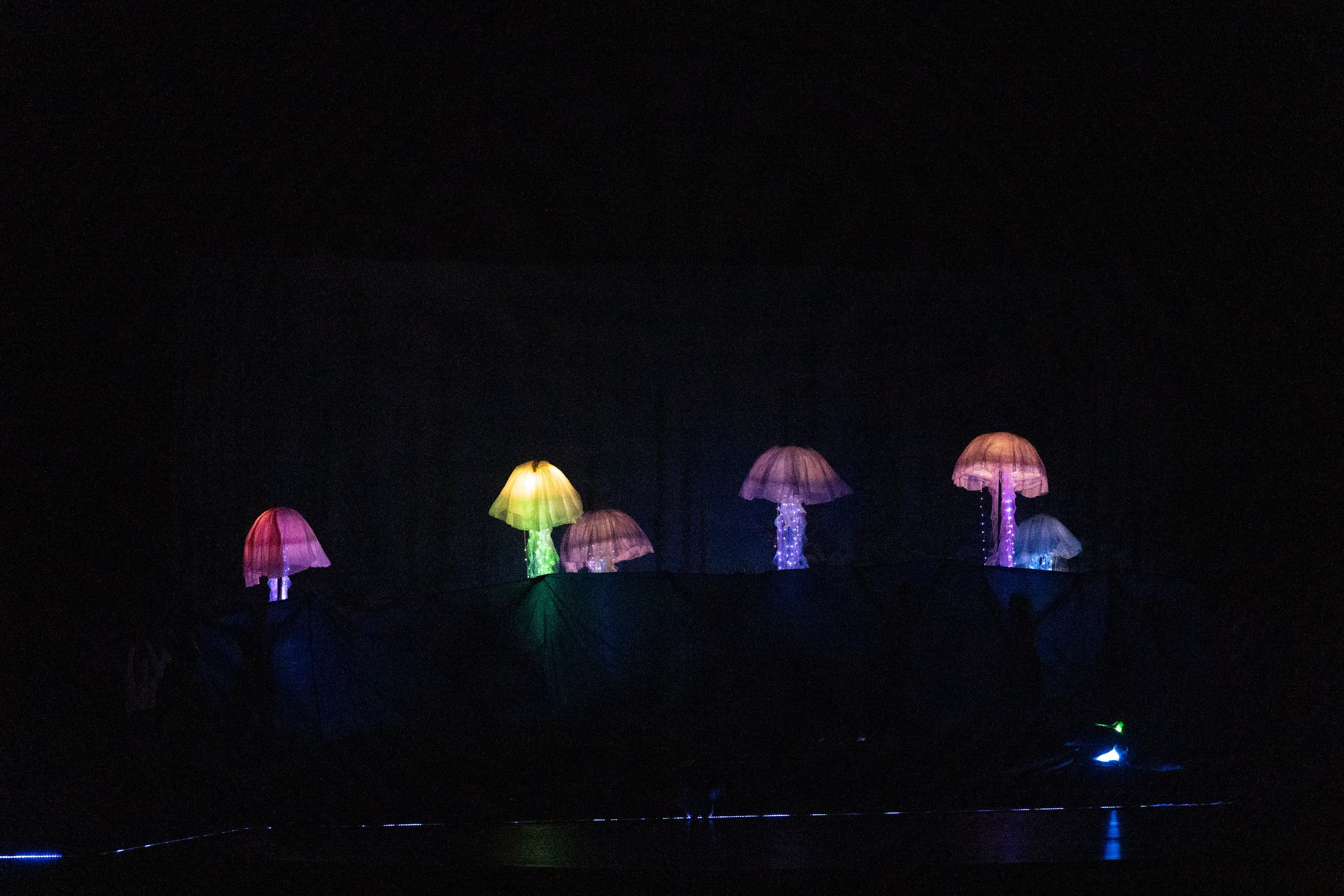 Colorful illuminated mushroom-shaped decorations on a dark stage.