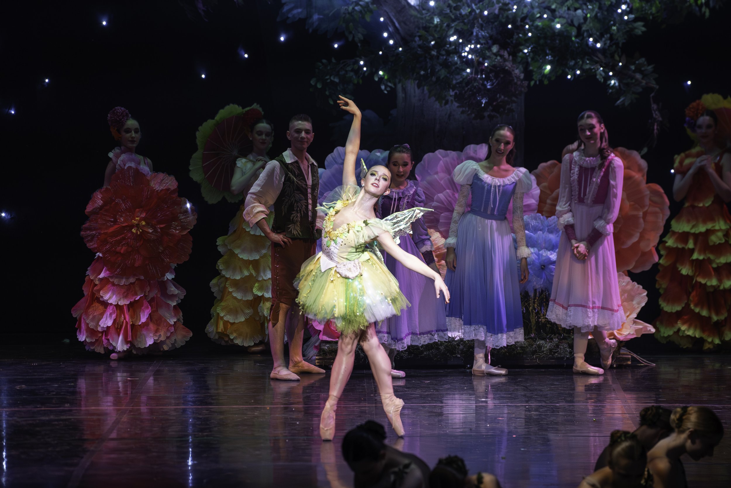 Ballet dancersperforming on stage dressed in fairy tale costumes, with a backdrop of a large tree and pink and purple flowers, under starry lights.