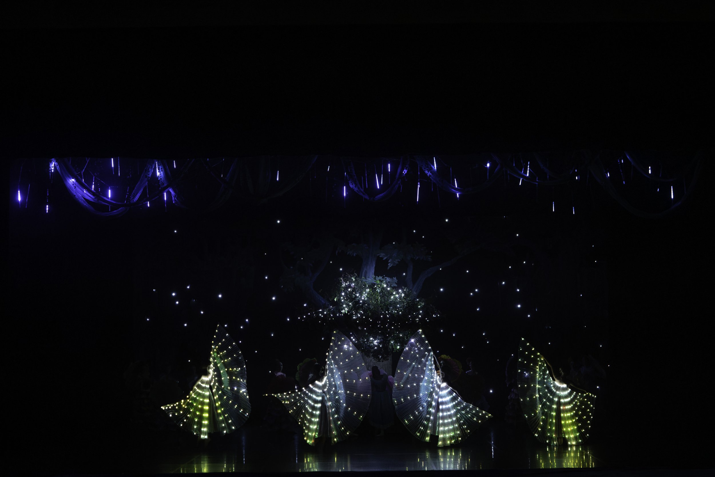 Dark stage with illuminated dancers holding large feather fans, a glowing tree, and hanging blue lights