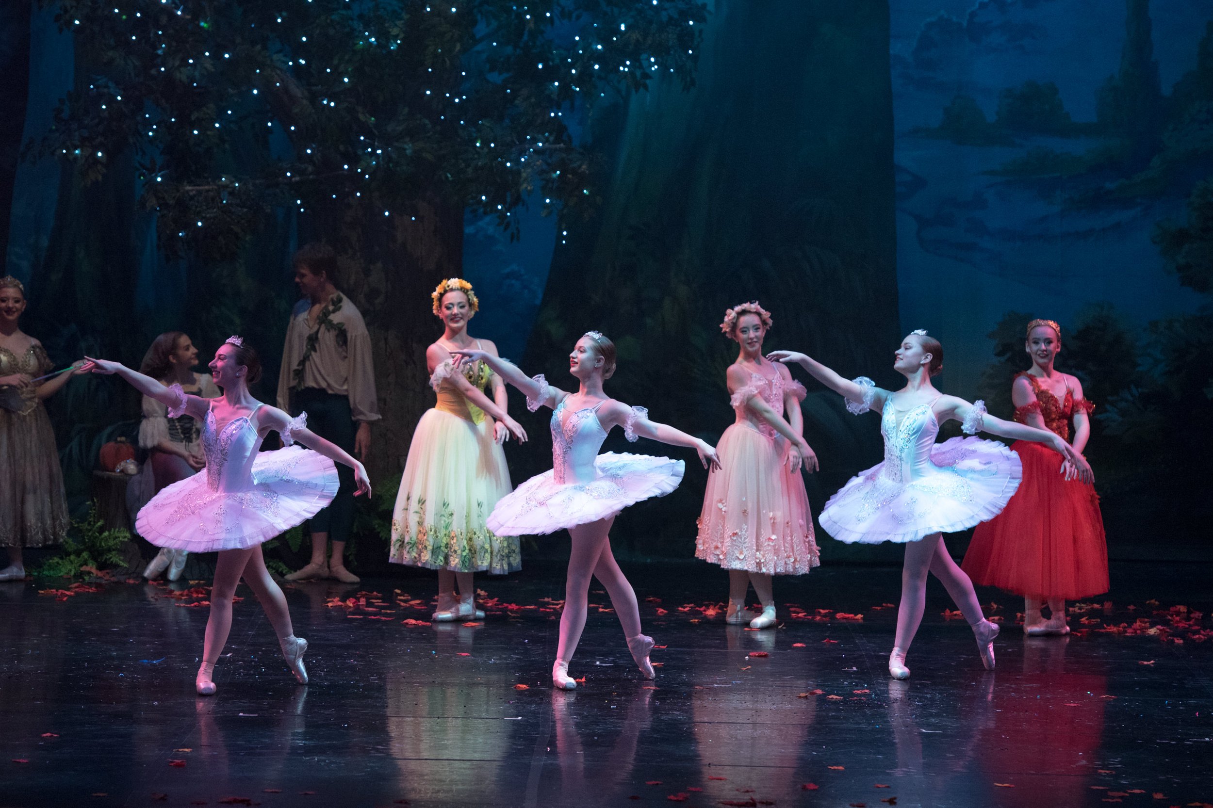 Ballet dancers in colorful costumes performing on stage with a forest backdrop and blue lights.