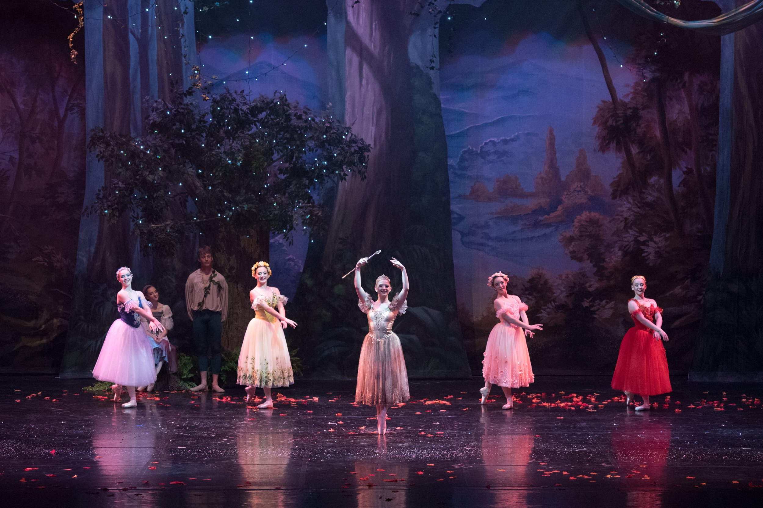 Ballet dancers performing on stage in a forest-themed backdrop with trees and foliage. The dancers are wearing colorful costumes, and the stage is decorated with flower petals.