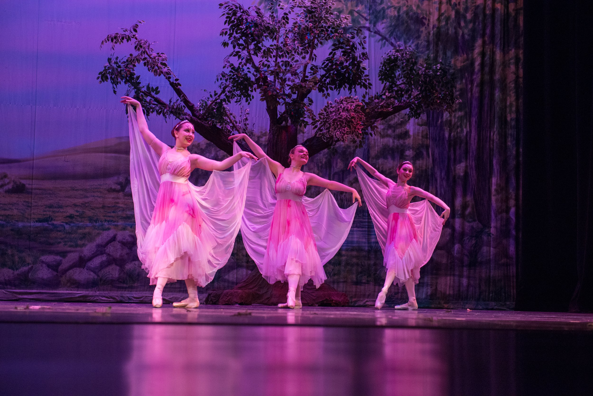Three ballet dancers performing on stage in pink and white dresses, with a backdrop of a large tree and landscape.