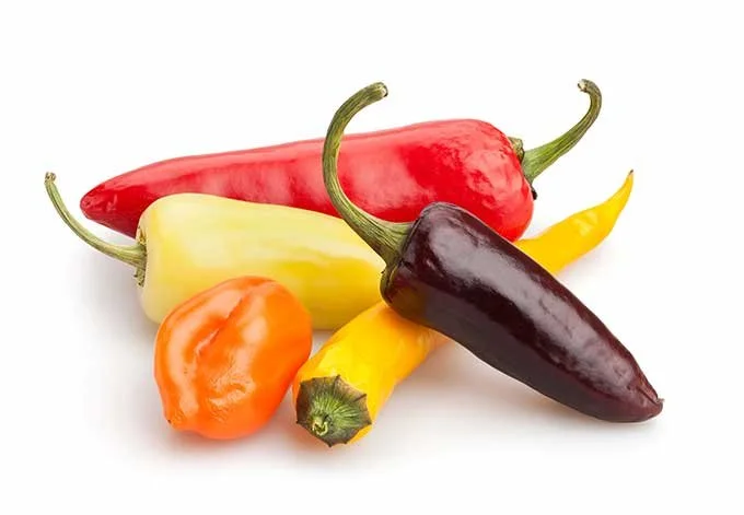 Assorted colorful chili peppers including red, yellow, orange, and dark brown on a white background.