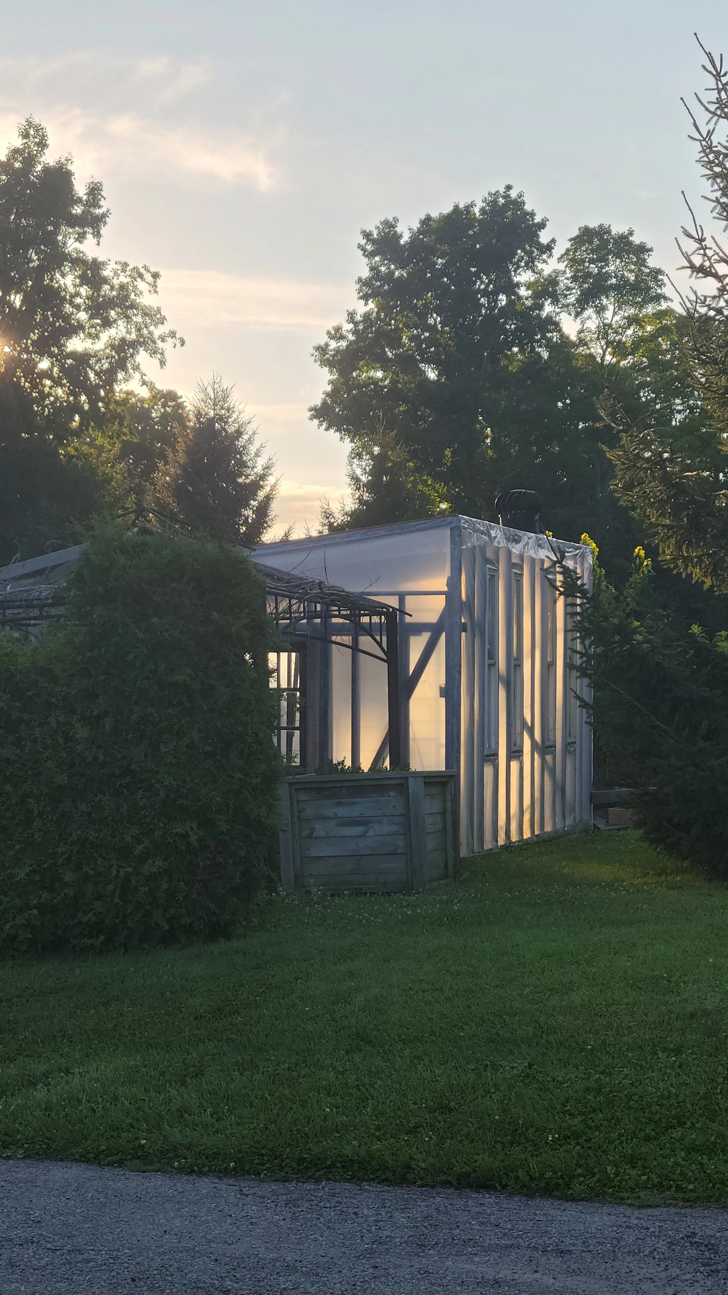 Greenhouse surrounded by trees and grass at sunset.