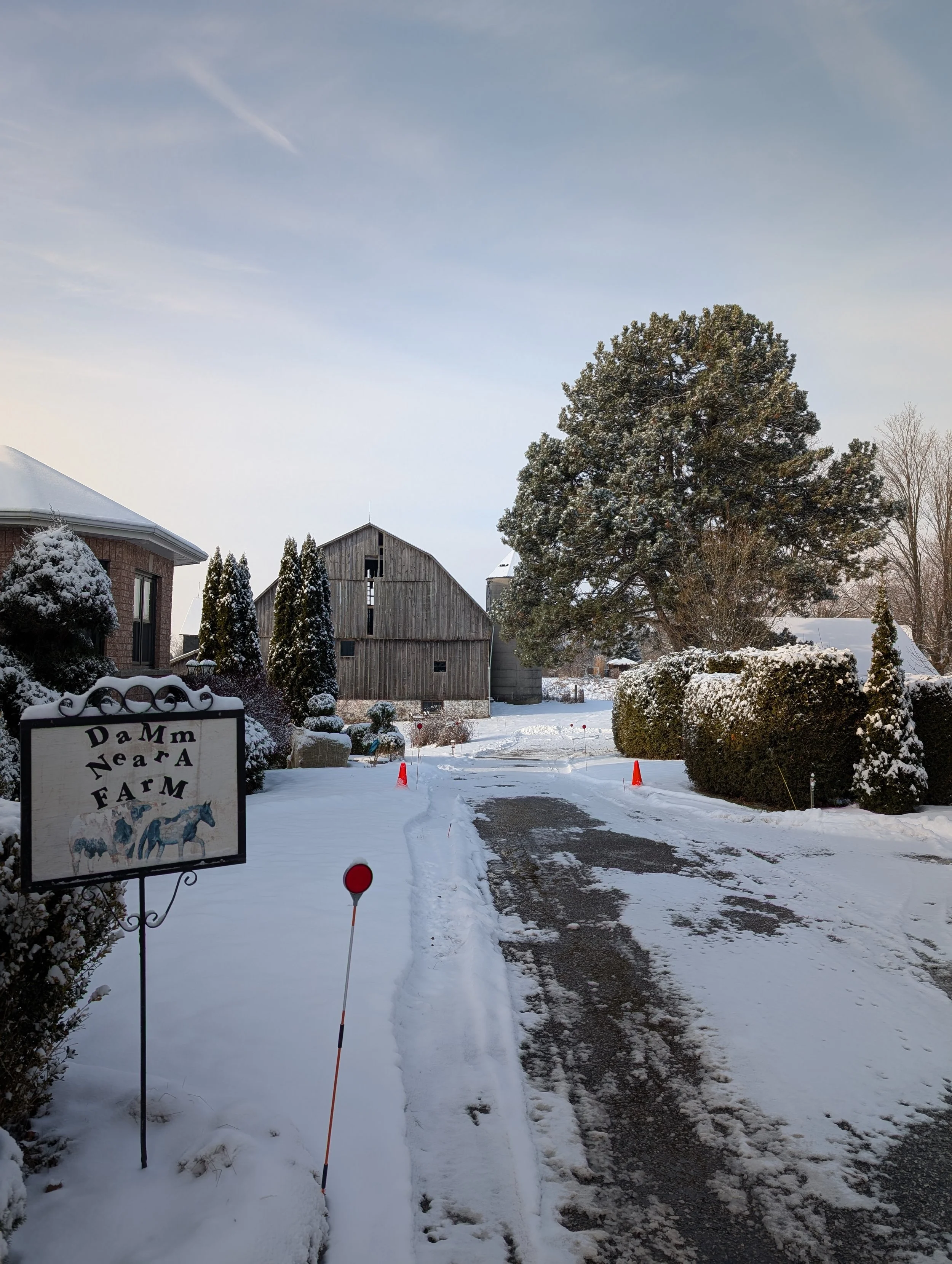 Snow-covered rural scene with a wooden barn, trees, and a farm sign reading 'Damm Neara Farm'. A path with snow markers and several cones is visible.