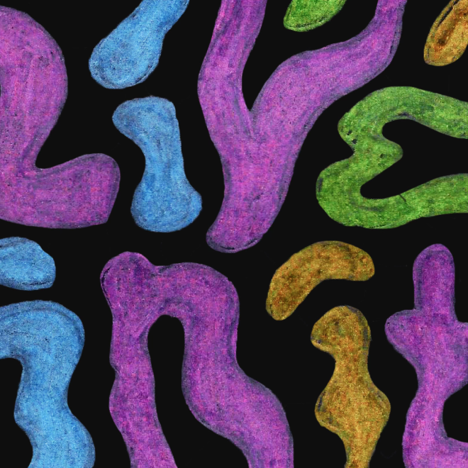 Colorful colored pencil squiggly type on a black background.