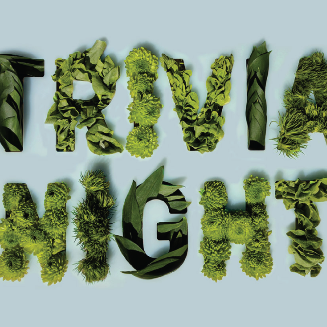Letters spelling 'TRIVIA NIGHT' formed with various green plants and leaves on a light blue background.