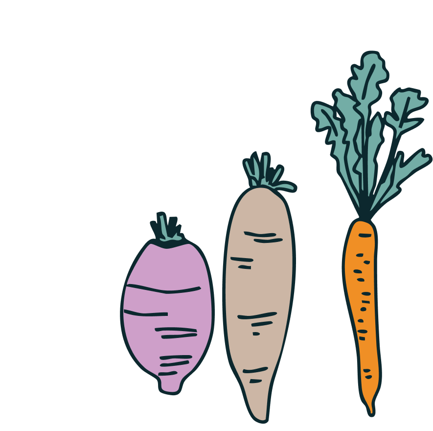 Illustration of three root vegetables with the phrase "Rooting for you!" at the top. The vegetables are a purple sweet potato, a beige parsnip, and an orange carrot with green leaves.