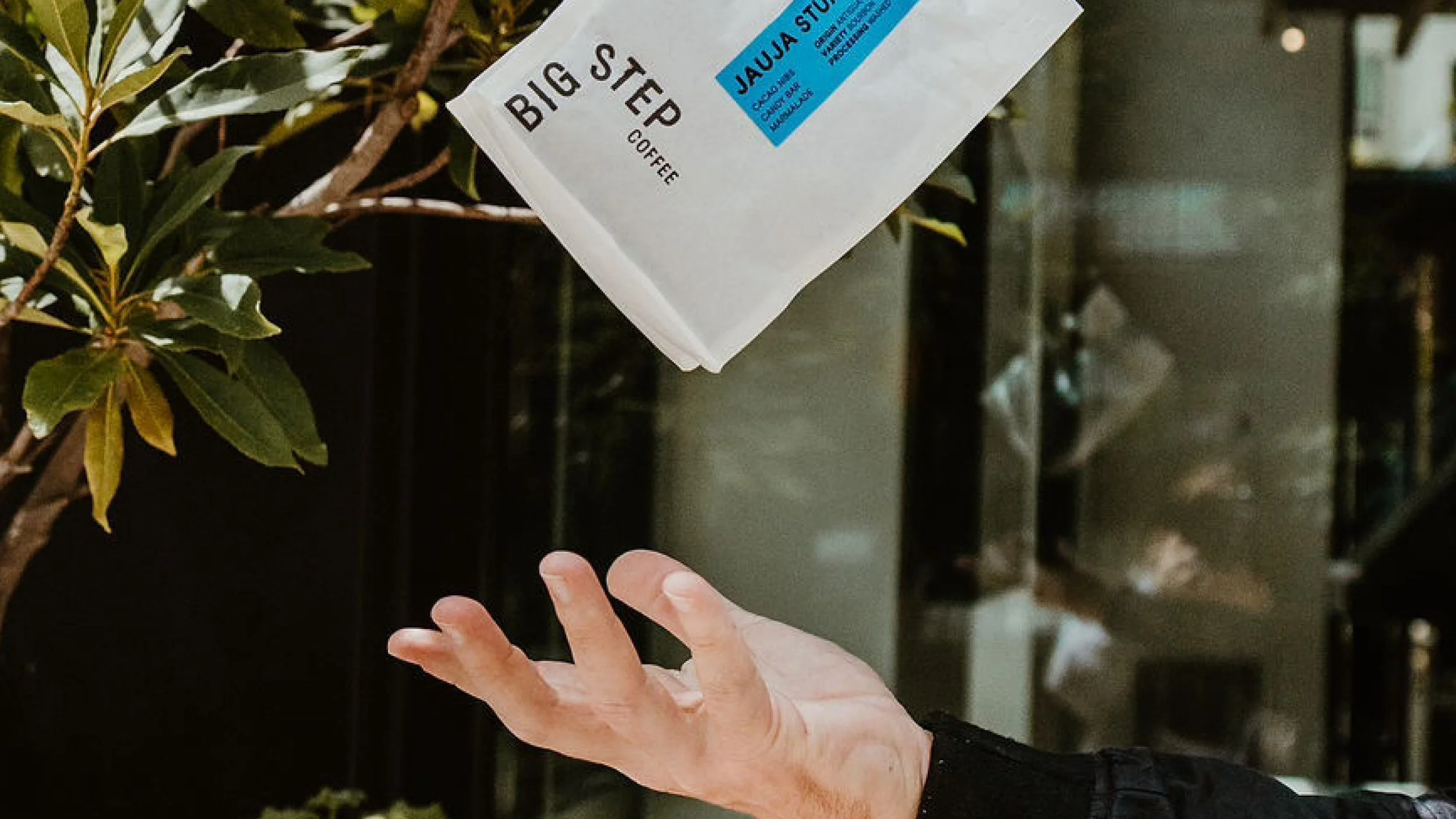 A person's hand reaching out to catch a white bag labeled 'BIG STEP COFFEE' with a blue sticker, in front of a hedge, with green leaves nearby, and a blurred background of a building.
