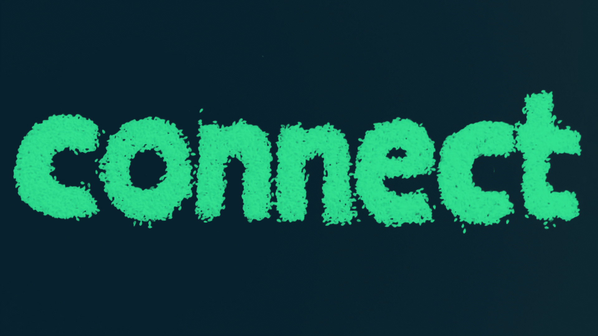 The word 'CONCEPT' written in bright green, textured, spray-painted style font on a dark background.