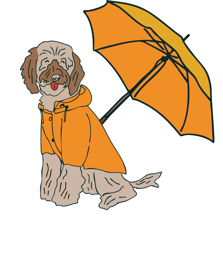 An illustration of a cute dog wearing an orange raincoat, sitting under a matching orange umbrella, with the text 'PUDDLE UP!' at the bottom.