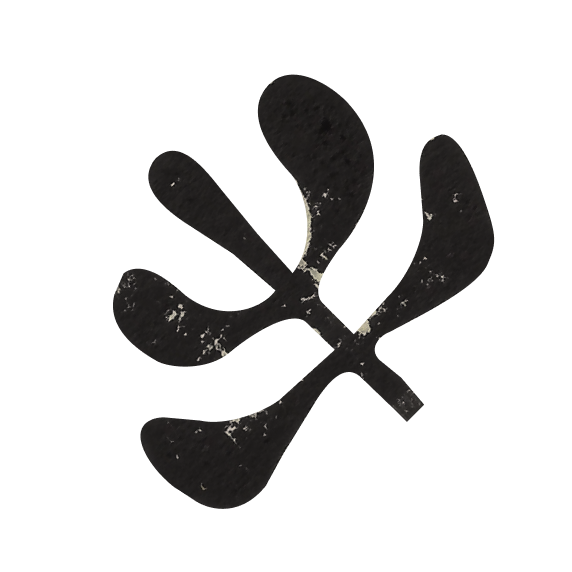 A black silhouette of a stylized leaf with several rounded lobes and a short stem, with a distressed texture.