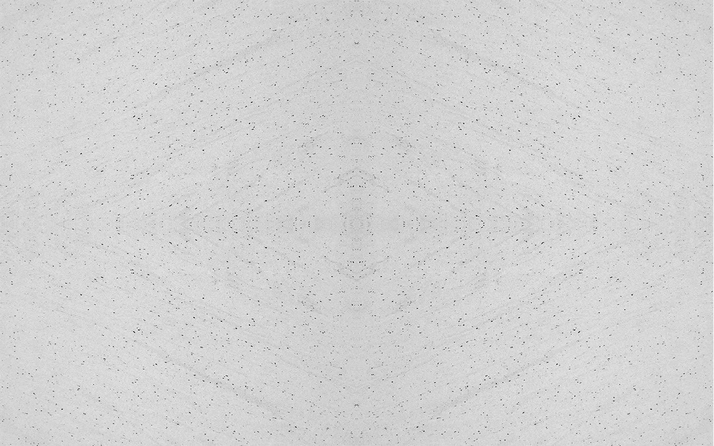 WhatsApp Image 2025-04-19 at 12.44.27.jpeg