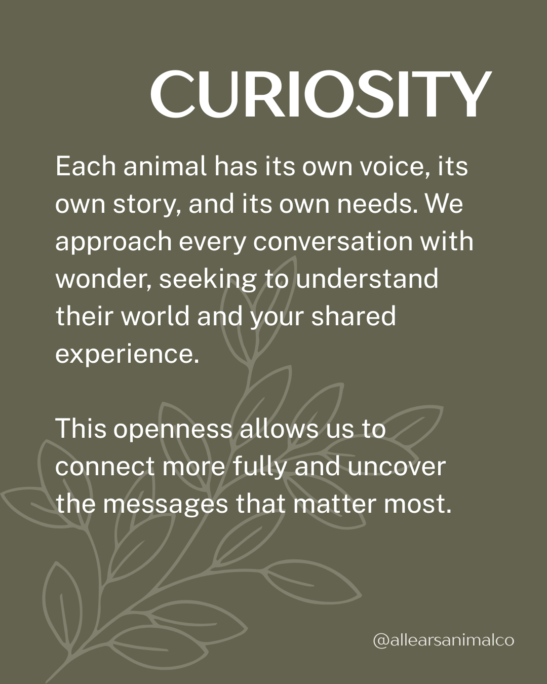 animal communication core values curiosity