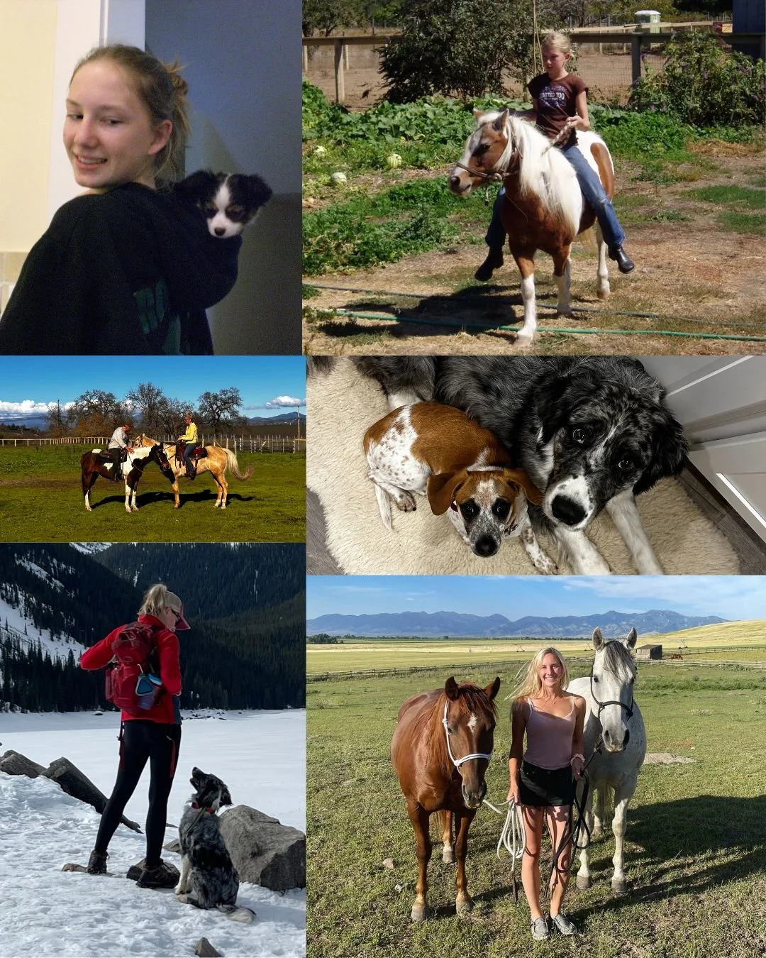 Animal Communicator, Animal Psychic, Animal communication