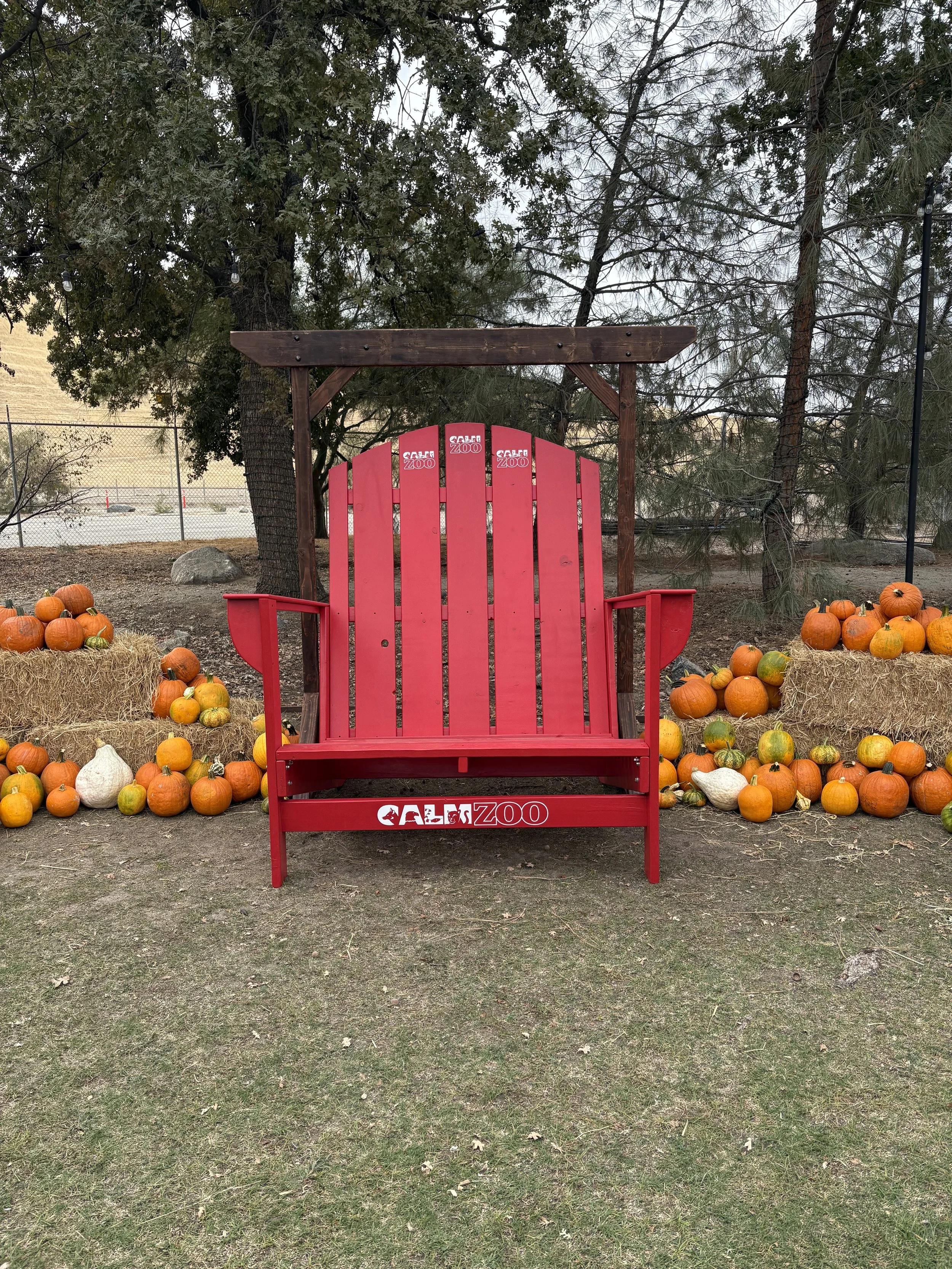 Custom XL Adirondack chair for CALM Zoo in Bakersfield, CA--the kids love it!