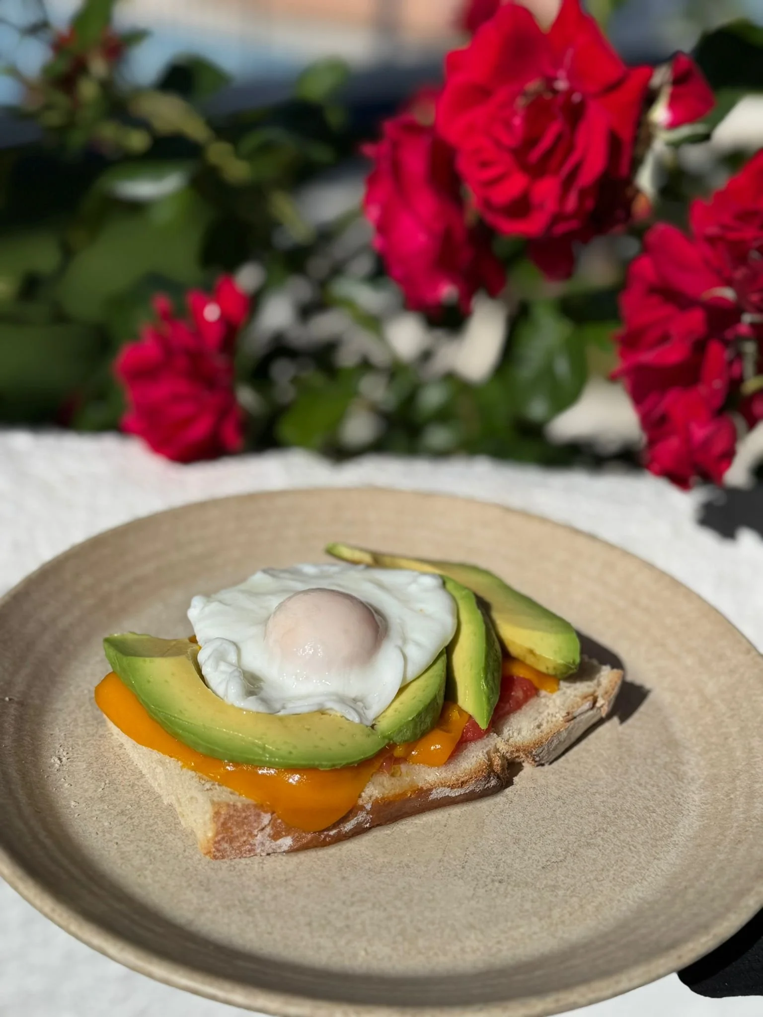 Tostada con aguacate, huevo, tomate y queso