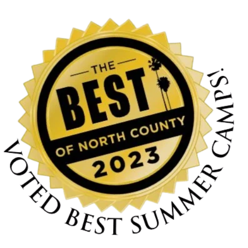 Gold seal badge with black text that reads 'The Best of North County 2023', featuring palm trees on a yellow background with a black border.