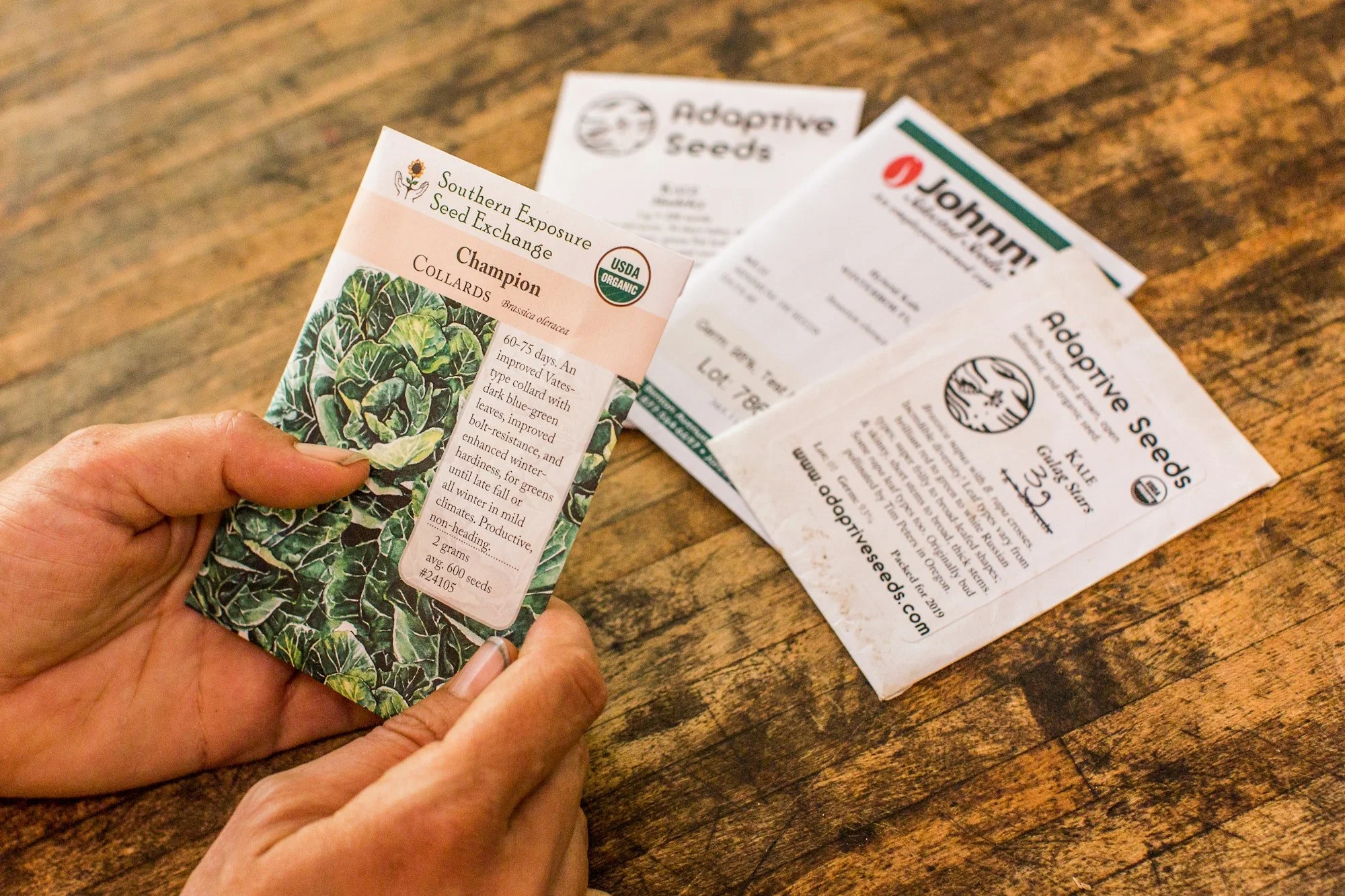 Hands holding a packet of Champion Collards from Souther Exposure Seed Exchange, with other seed packets from Johnny's Seeds and Adaptive Seeds on the table below