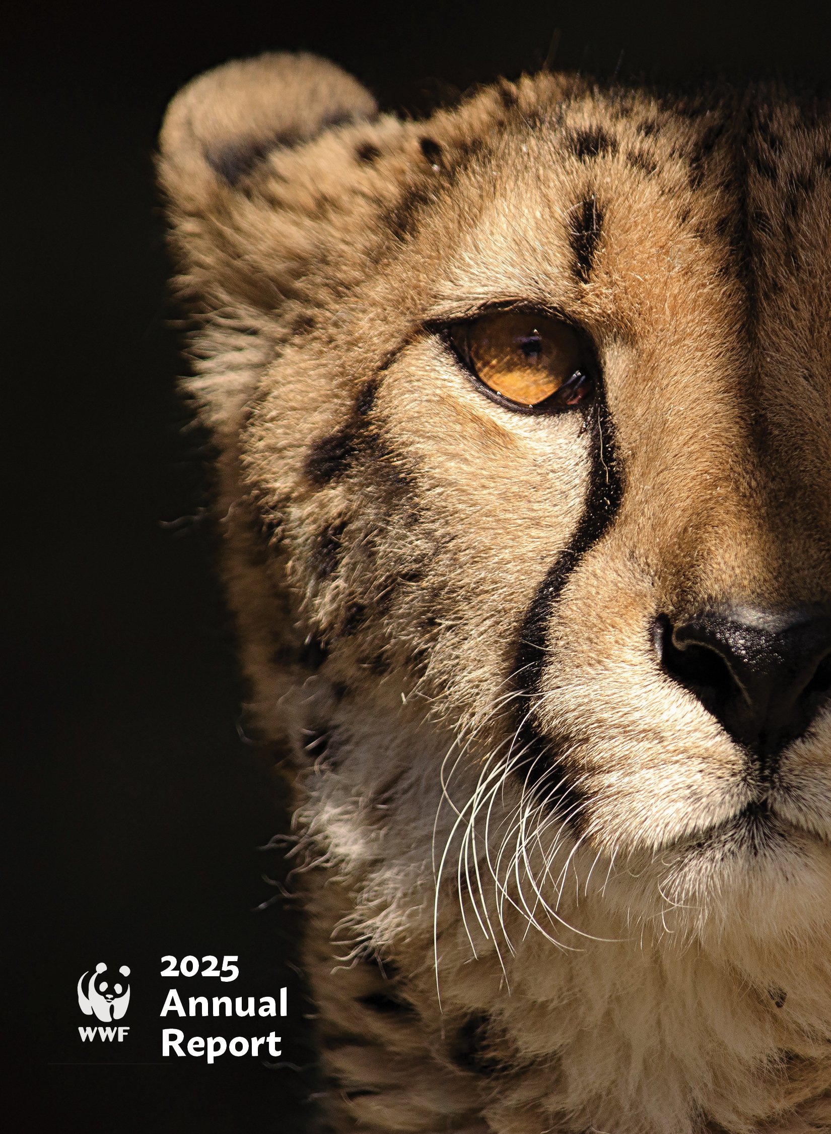 WWF Annual Report
