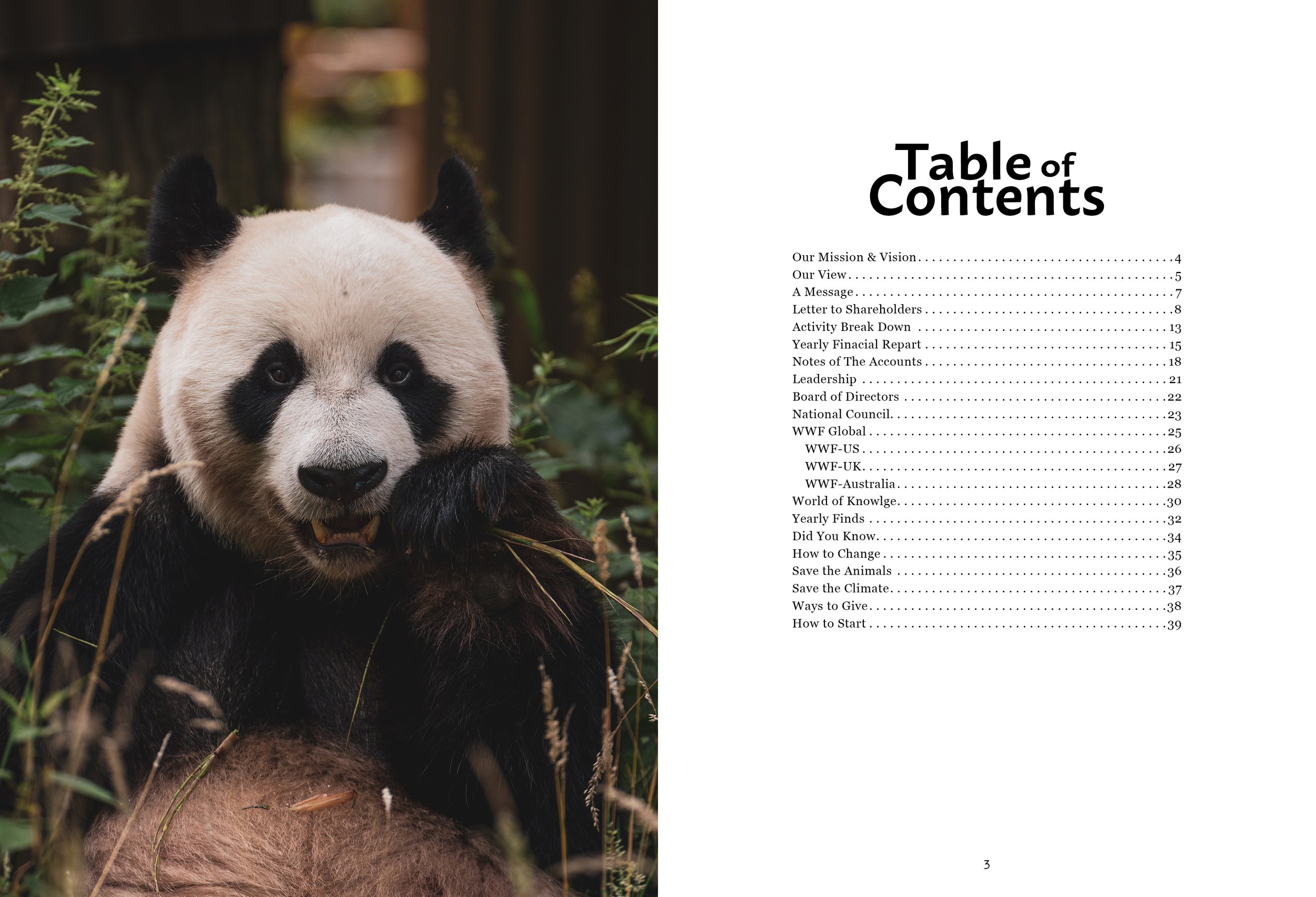 Table of Contents (pg.2-3)