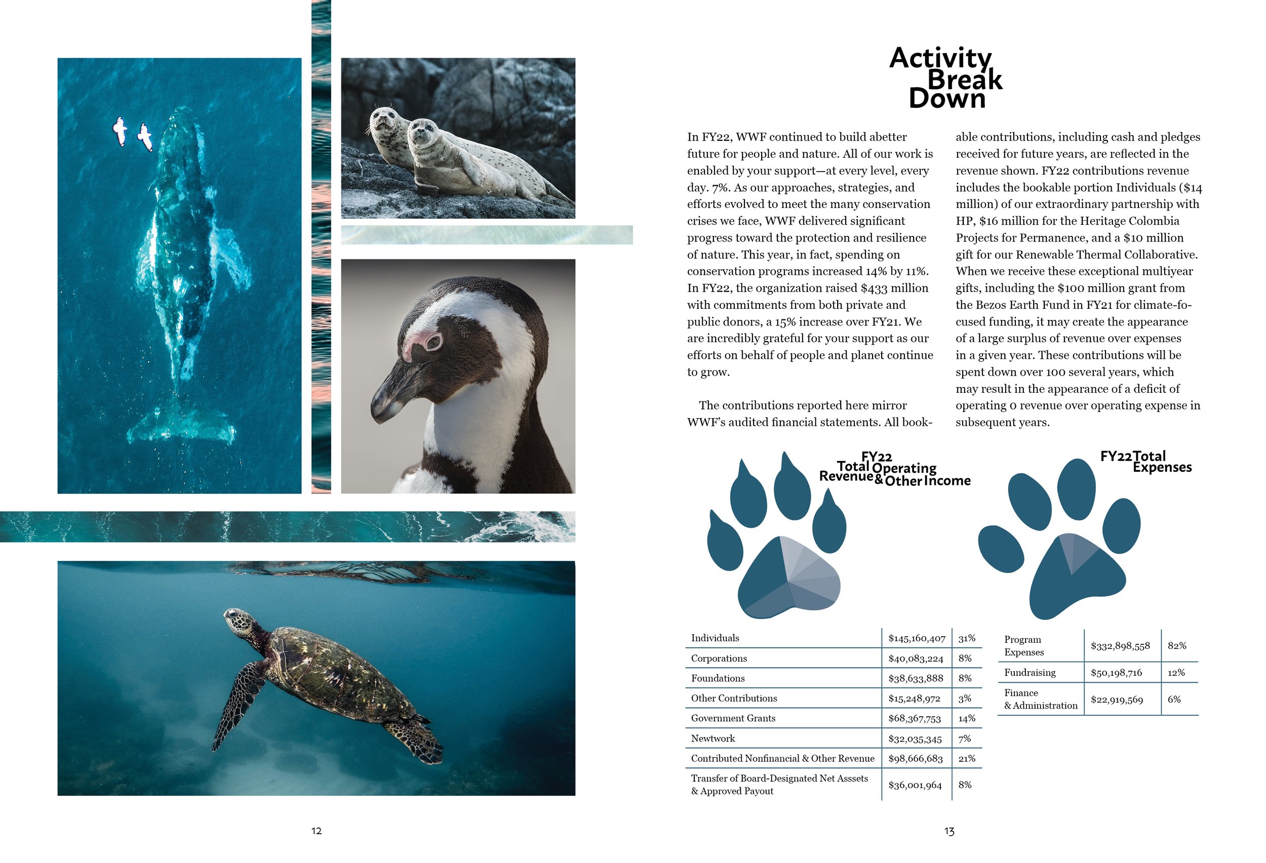 Activity Break Down (pg.12-13)