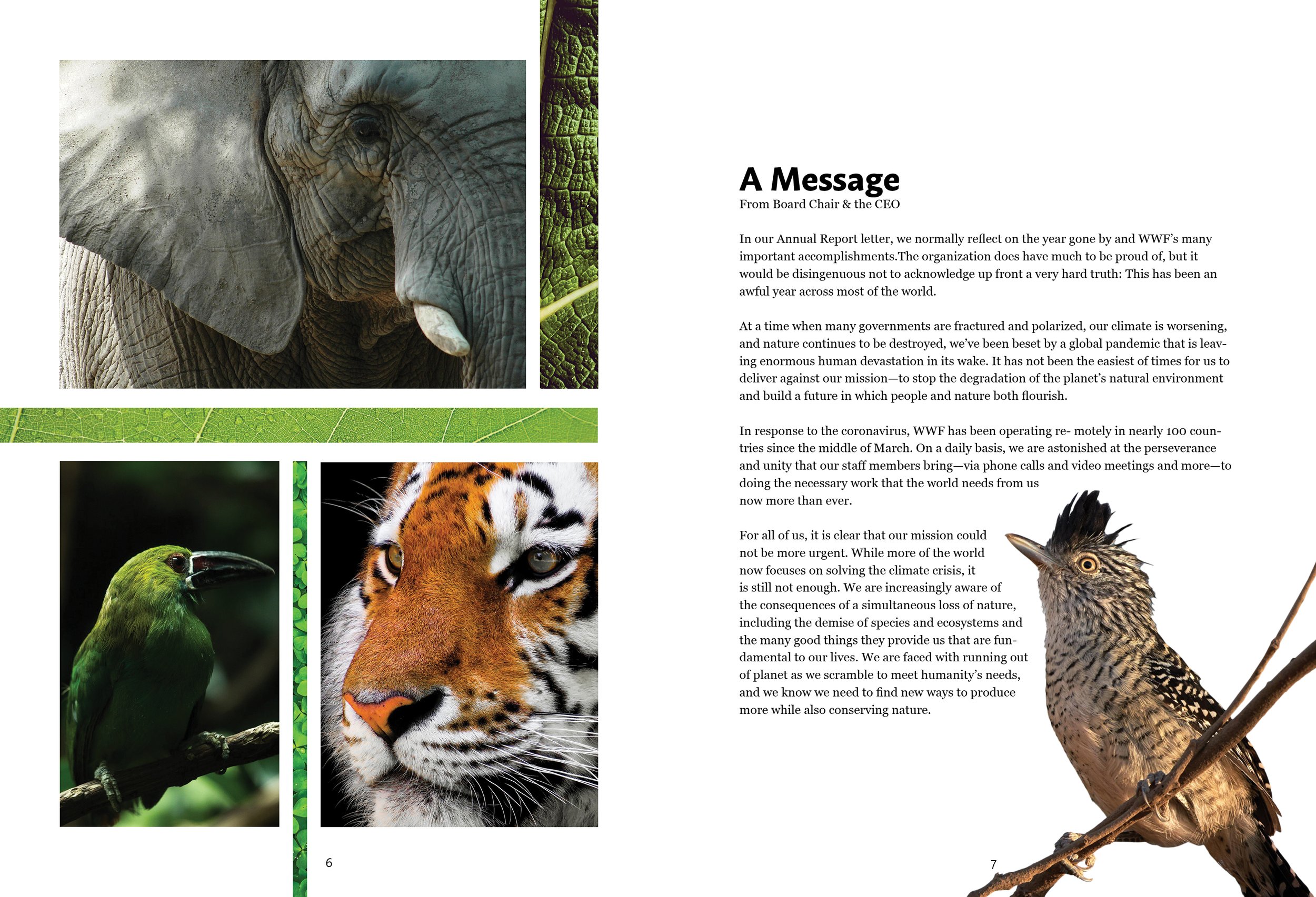 A Message (pg.6-7)