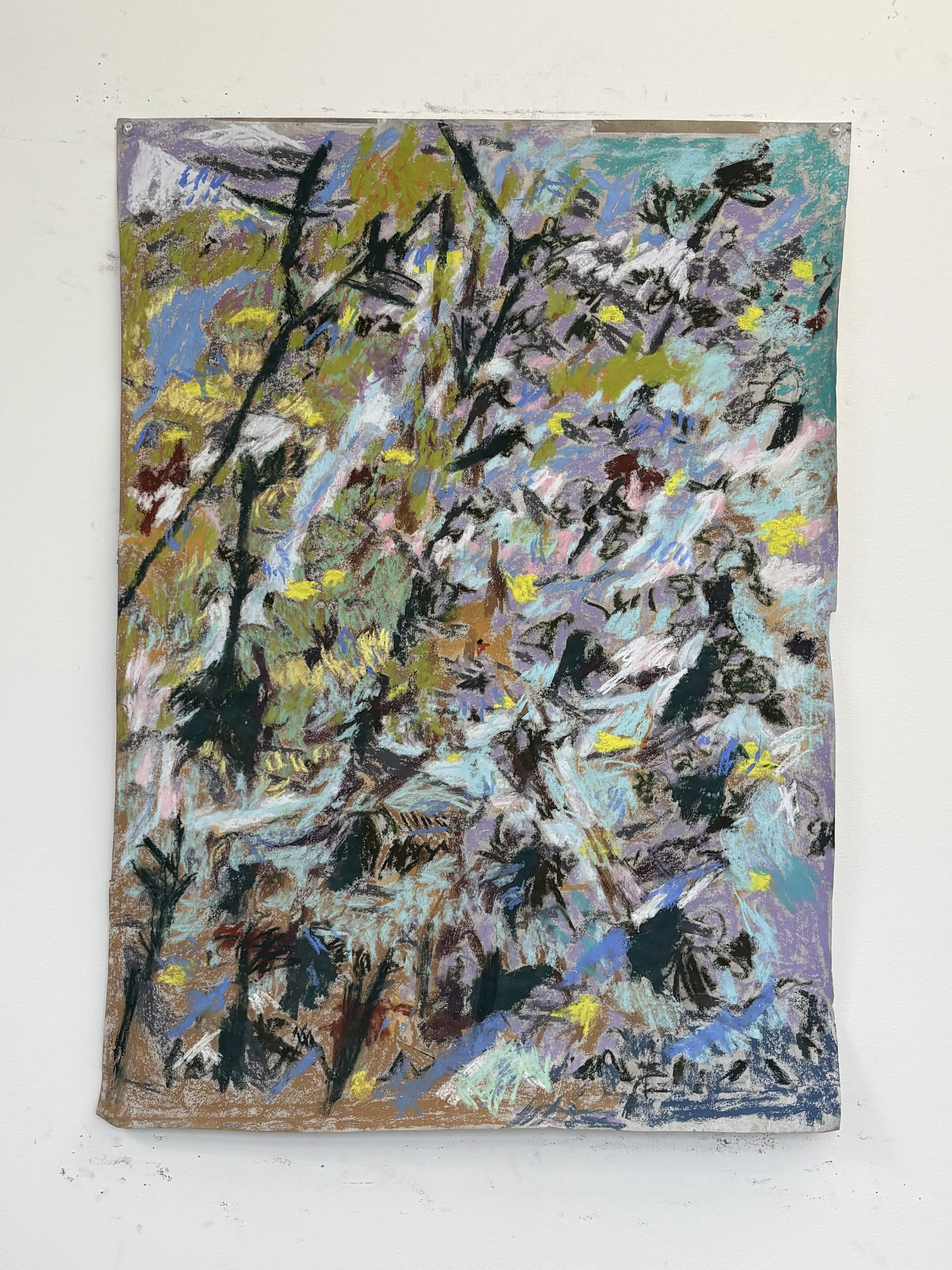 The oblique, pastel on paper, 38x26 inches, 2026