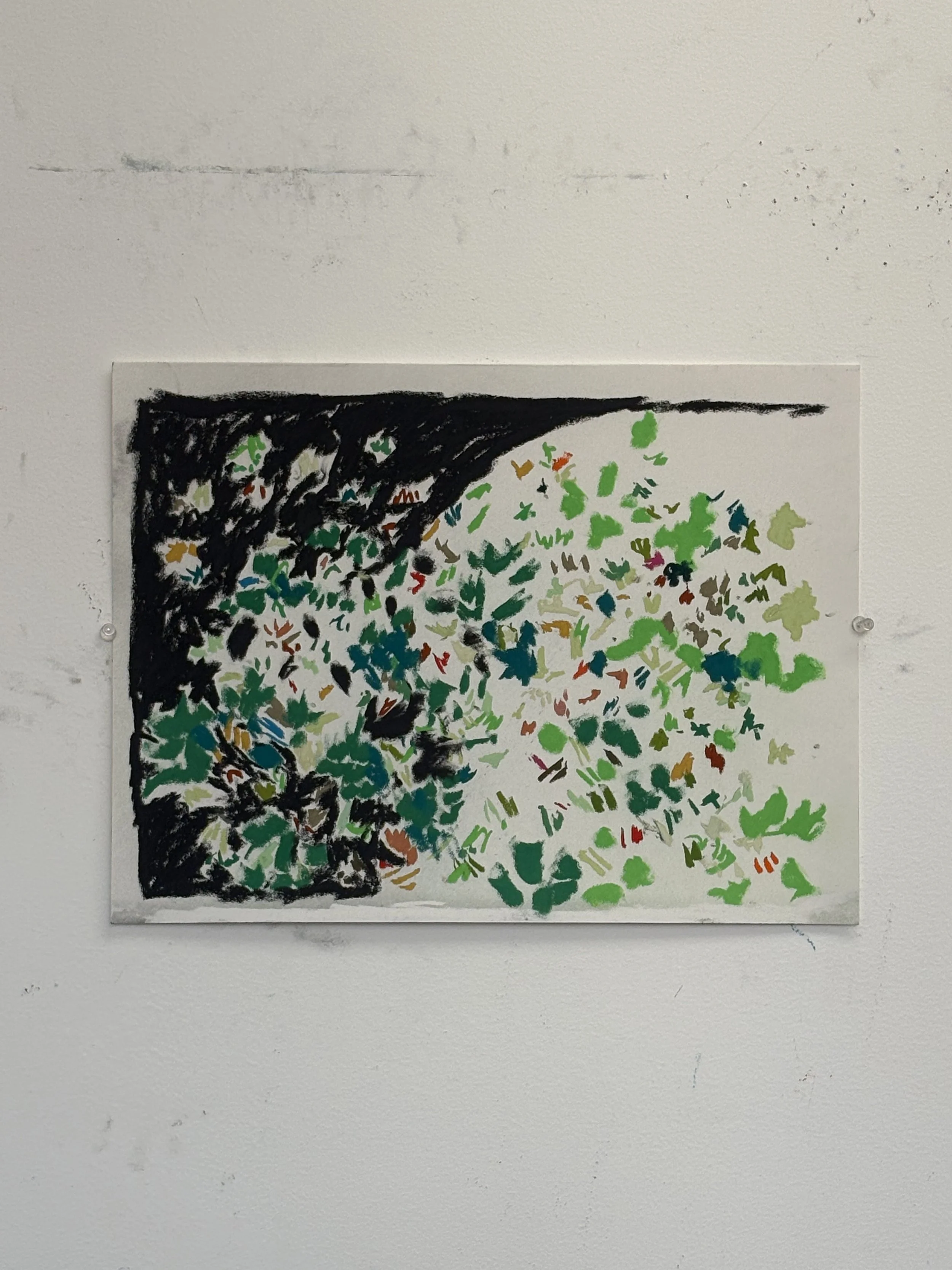 Night garden, pastel on paper, 8x12 inches, 2026